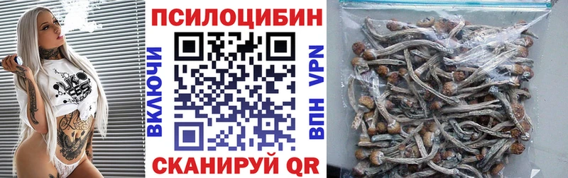 Купить закладки Покровск Галлюциногенные грибы ЛСД